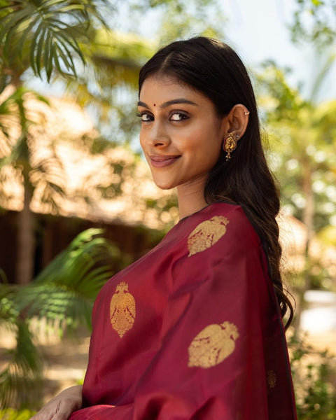 Wine Red Banarasi Soft Silk Saree with Gold Zari Motifs & Rich Brocade Pallu