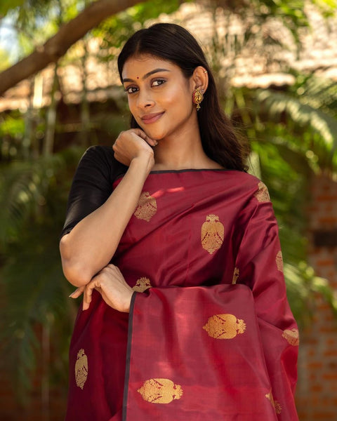Wine Red Banarasi Soft Silk Saree with Gold Zari Motifs & Rich Brocade Pallu