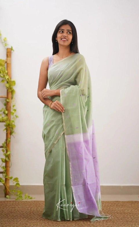 Elegant Sage Green Soft Cotton Saree with Lavender Jacquard Border & Woven Pallu
