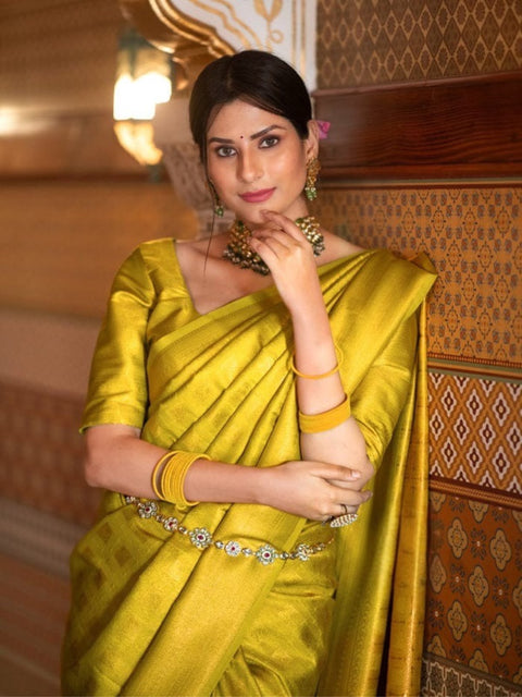 Premium Banarasi Silk Saree Collection
