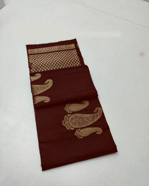 Premium Banarasi Silk Saree Collection
