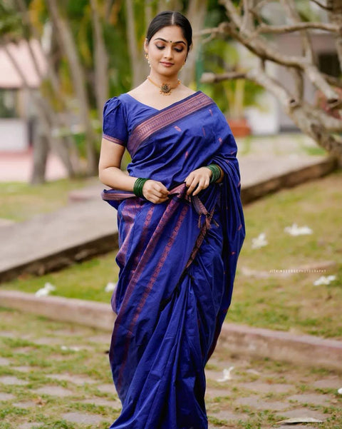 Premium Banarasi Silk Saree Collection