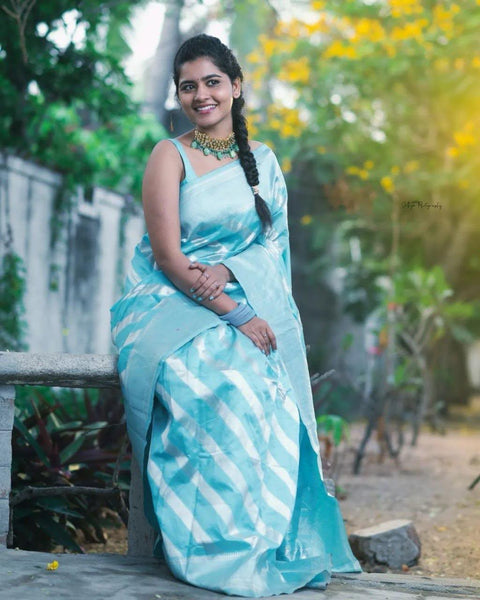 Premium Banarasi Silk Saree Collection