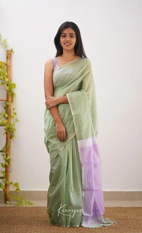 Elegant Sage Green Soft Cotton Saree with Lavender Jacquard Border & Woven Pallu