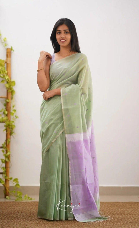 Elegant Sage Green Soft Cotton Saree with Lavender Jacquard Border & Woven Pallu