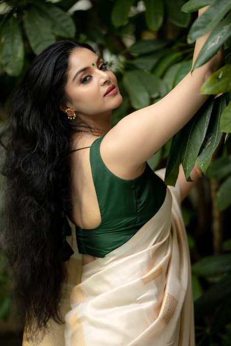 Elegant Banarasi Soft Silk Saree with Gold Zari Weaving & Rich Woven Border