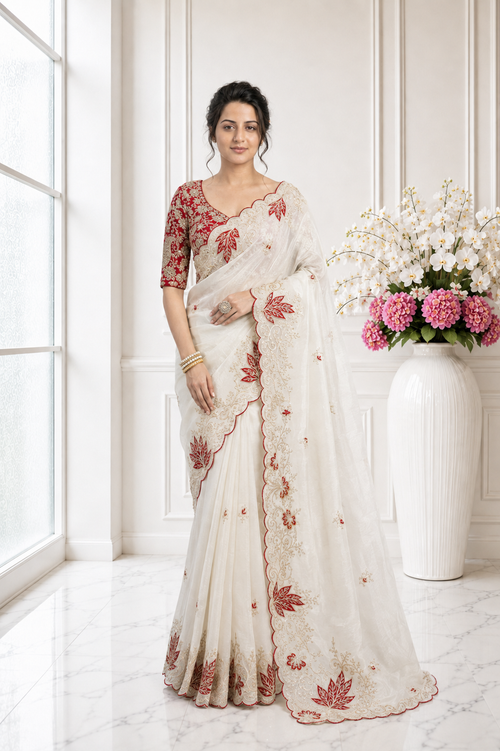 Crystal Organza Tissue Saree with Embroidered Border & Contrast Stitched Blouse