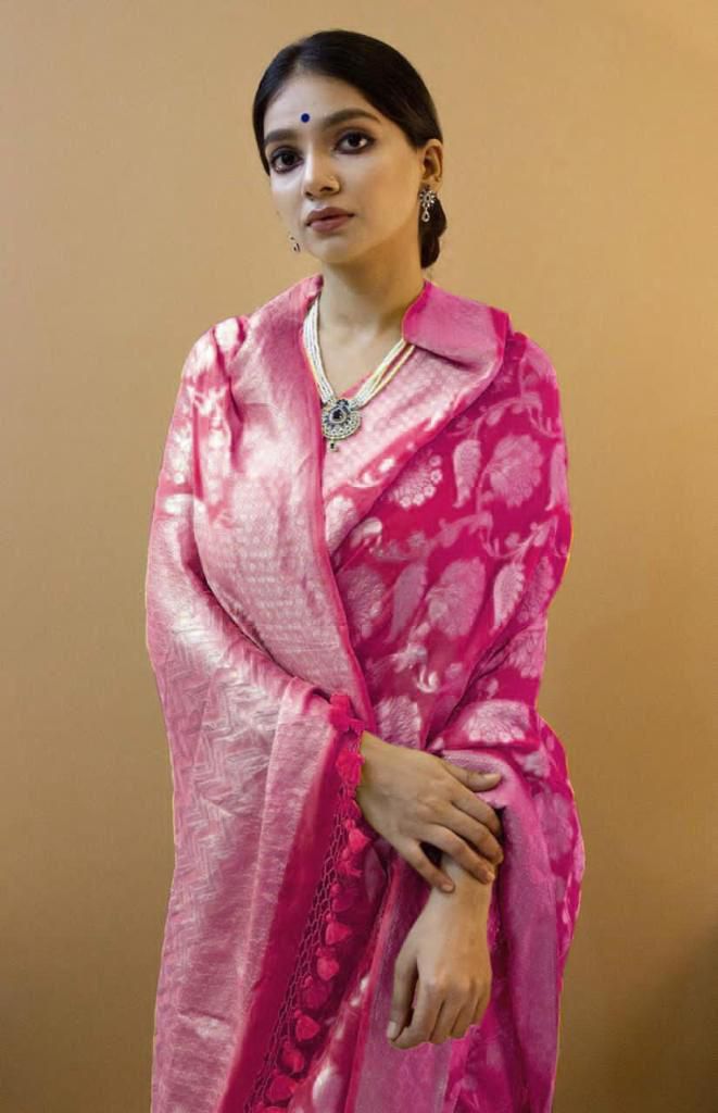 Premium Banarasi Silk Saree Collection