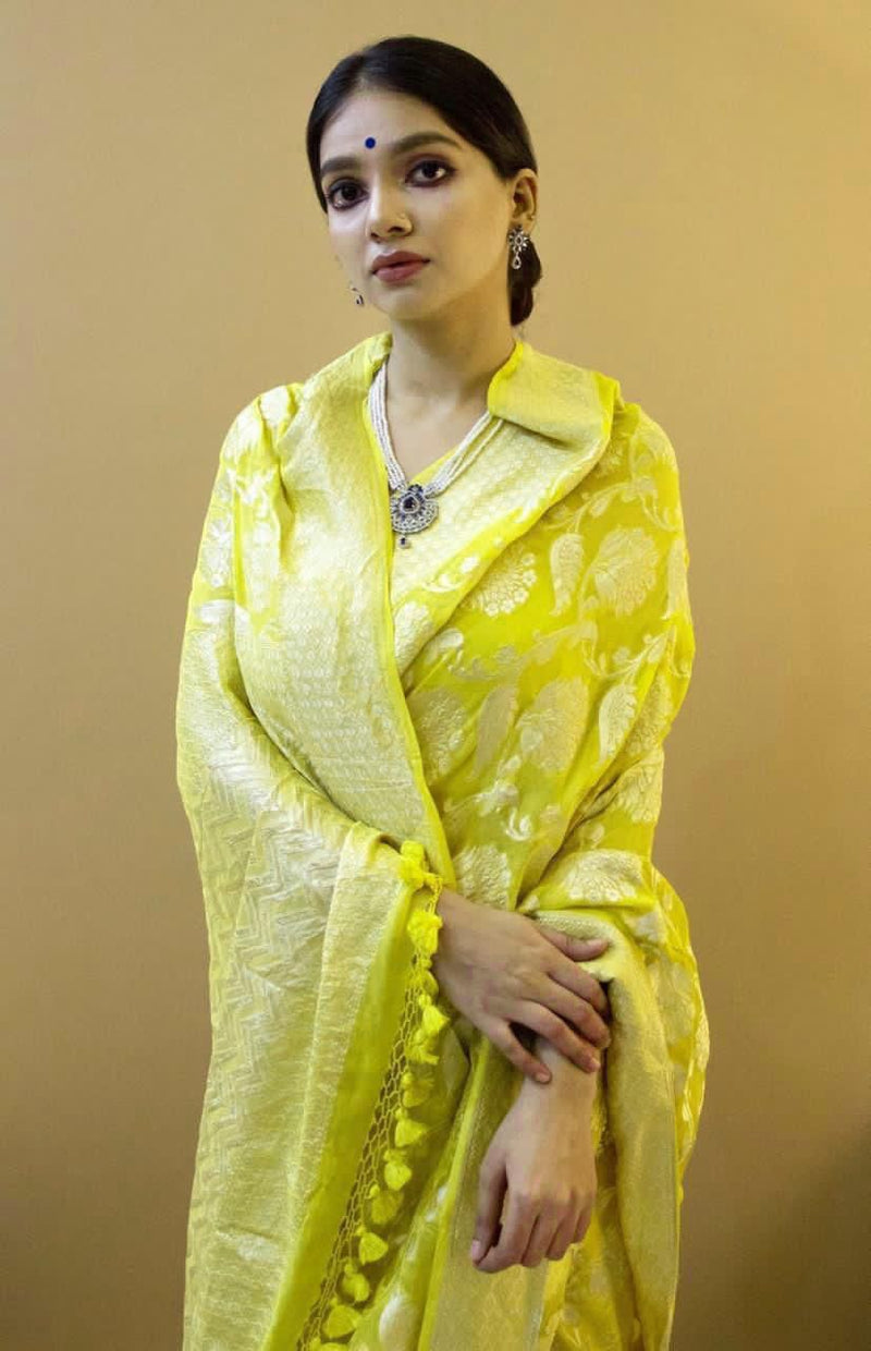 Premium Banarasi Silk Saree Collection