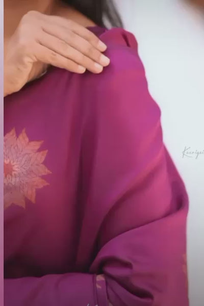 Premium Banarasi Silk Saree Collection