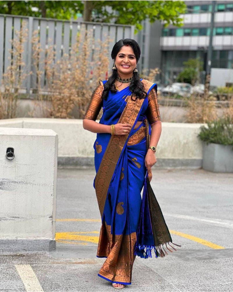 Premium Banarasi Silk Saree Collection