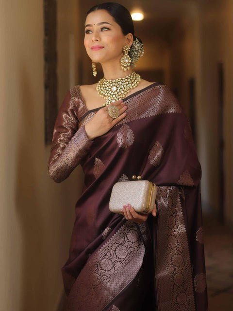 Premium Banarasi Silk Saree Collection