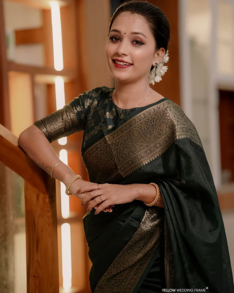 Premium Banarasi Silk Saree Collection