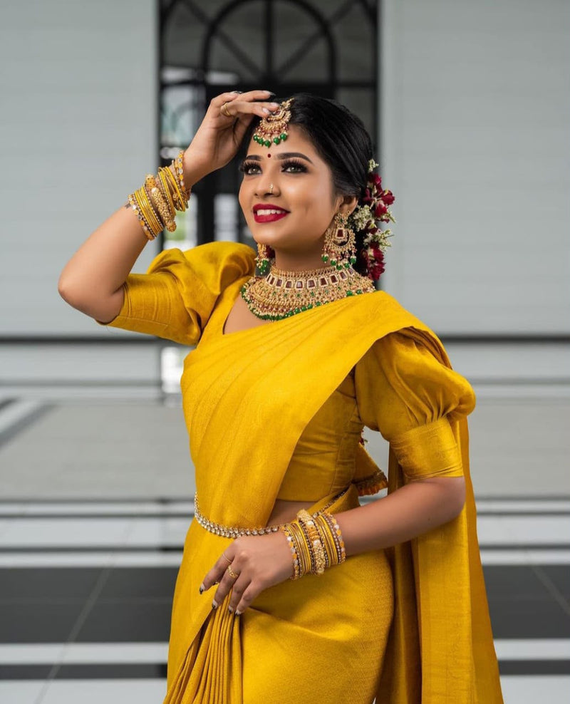 Premium Banarasi Silk Saree Collection