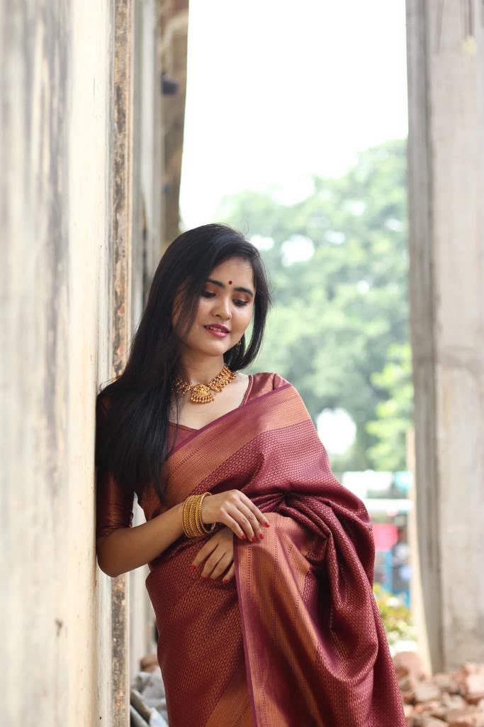 Premium Banarasi Silk Saree Collection