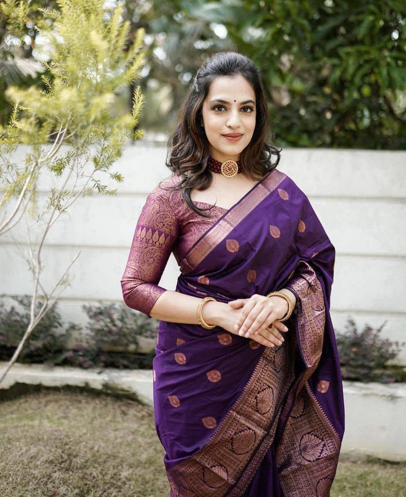Premium Banarasi Silk Saree Collection