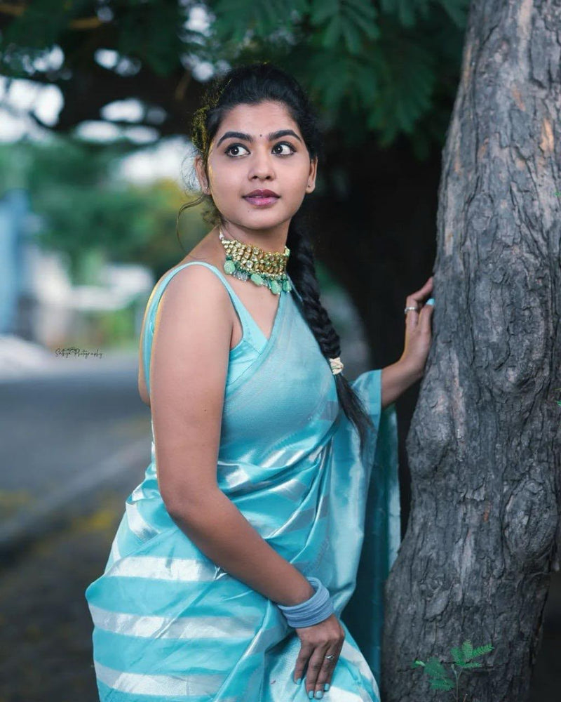 Premium Banarasi Silk Saree Collection