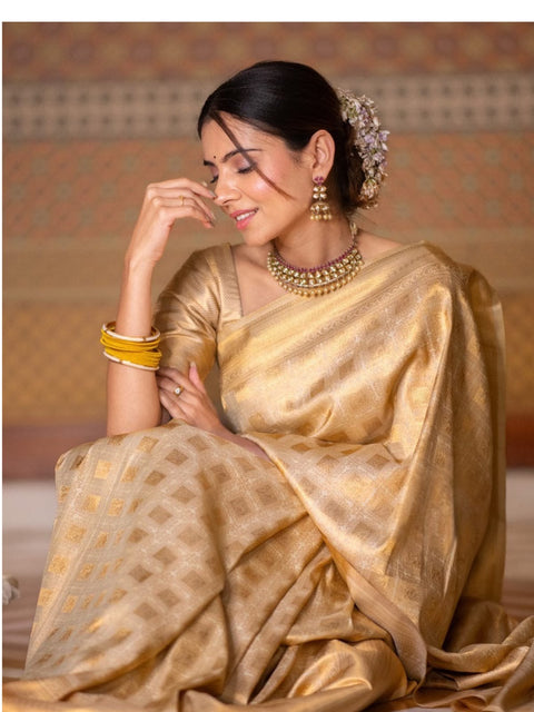 Premium Banarasi Silk Saree Collection