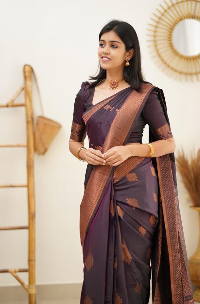 Premium Banarasi Silk Saree Collection