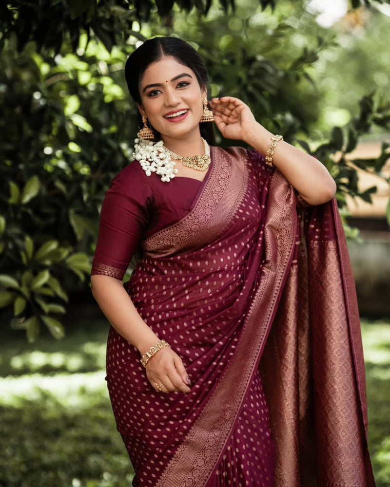 Premium Banarasi Silk Saree Collection