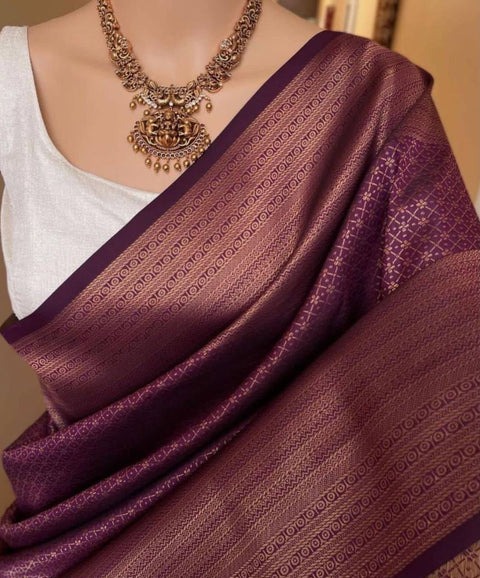 Premium Banarasi Silk Saree Collection