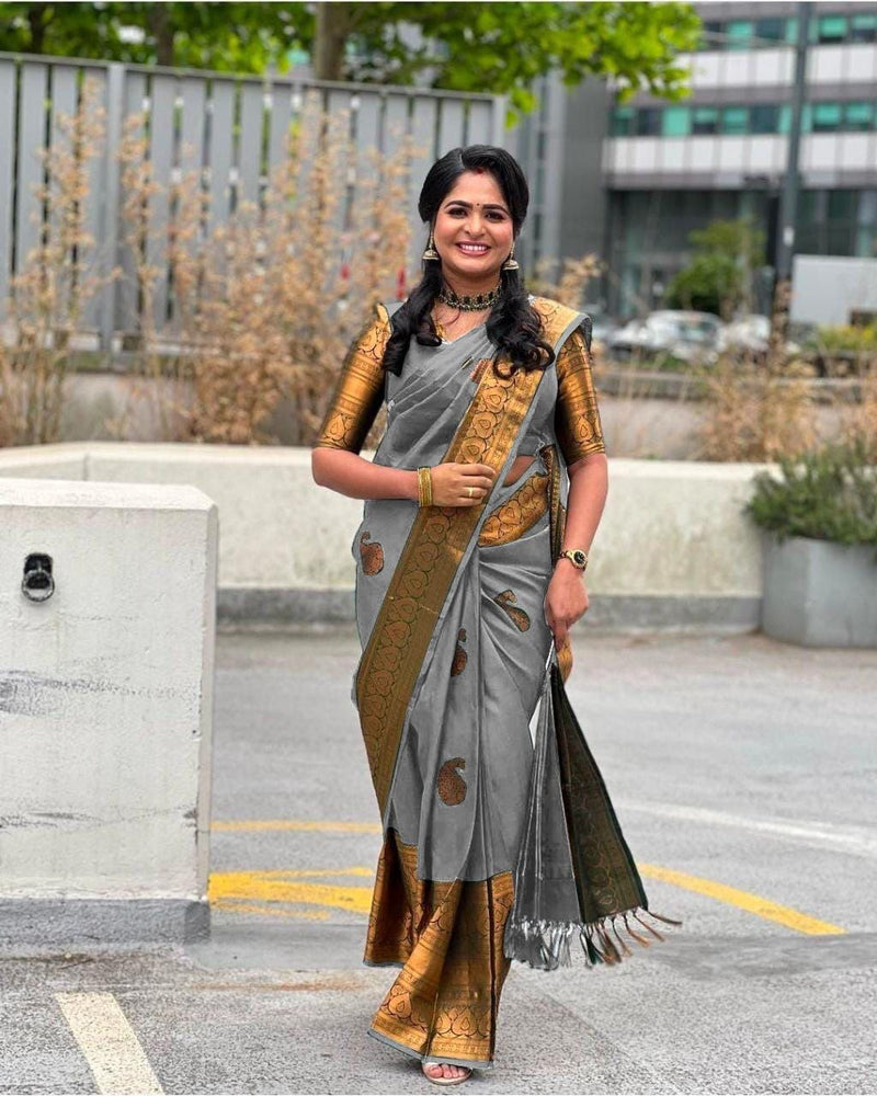 Premium Banarasi Silk Saree Collection