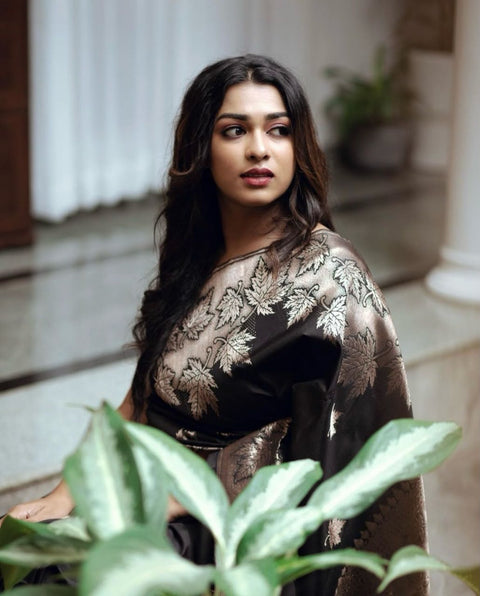 Premium Banarasi Silk Saree Collection